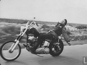 Hells Angels vs. DEA Agents and SWAT Team With Explosives