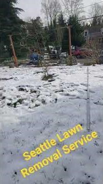 Seattle Lawn removal services #gardening #seattle #garden #landscaping