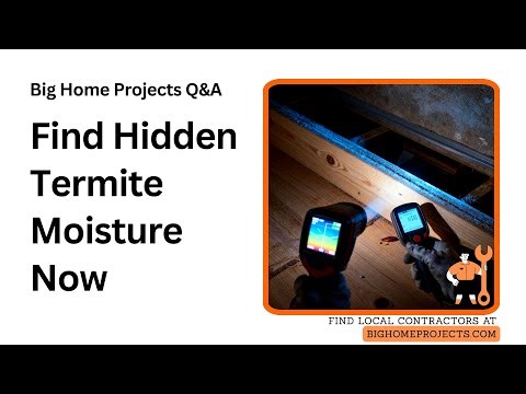 Nighttime Termite Thermography Moisture Scan Guide