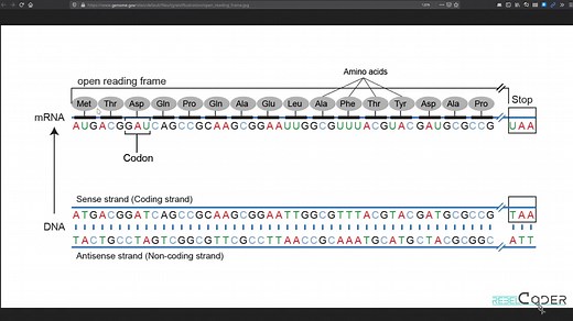 Bioinformatics in Python