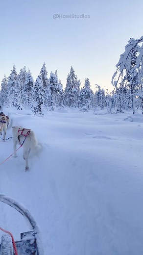 4.9K views · 198 reactions | Snow Dogs Pulling Sled on a Beautiful Landscape #nature #wildlife #dogs #snow #sled Video ID: HA67465 #snowdogs #sleddogs #pullingsled #snowdogspullingsled #beautifullandscape #winterlandscape #frozenlandscape #mountainlandscape #naturephotography #landscapephotography #outdoorphotography | HAWI Studios | Facebook