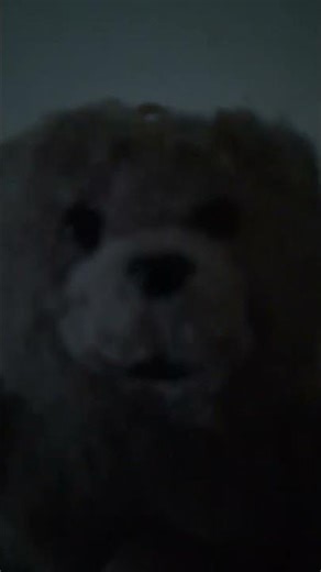 The truth behind the suspicion that the number of views has been manipulated