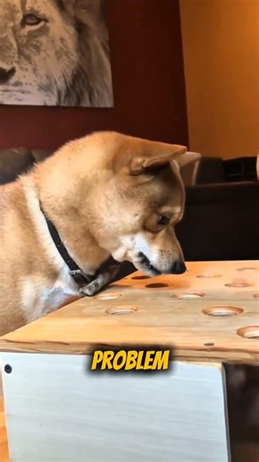 You’re failing at the easiest game ever.