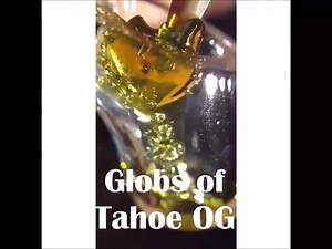 Globs of Tahoe OG | Only Dabs