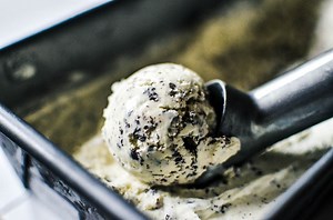 Fresh Mint Chip Ice Cream
