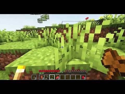 Minecraft Mod Showcase:From the Fog