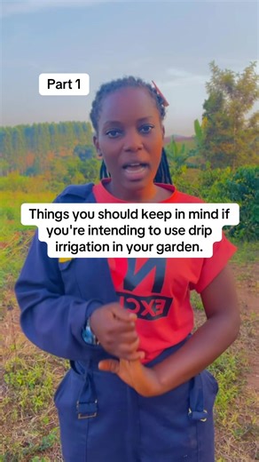 Essential Tips for Effective Drip Irrigation in Your Garden