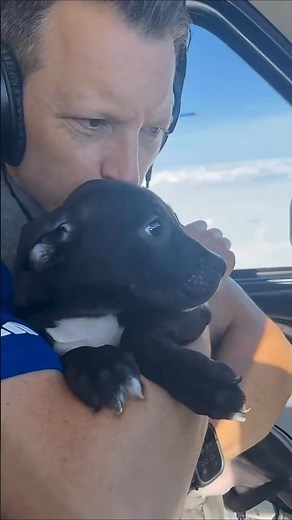 From Shelter to Safety: 26 Animals Rescued by Air ✈️🐶🐱
