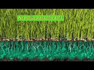 Hydromousse Pelouse et Gazon Parfaits et recharge