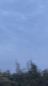 18K views · 1.8K reactions | Remember that bat box I made and installed early this year we have a pipistrelle bat roosting in it | The Mouse family that live by the brambles | Facebook