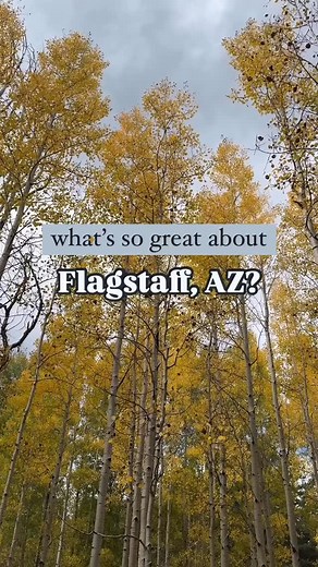  Flagstaff Adventure – Sept 19-21  Join me for a weekend full of wonder, history, and stargazing. Come solo or with friends/family. We will visit the legendary Lowell Observatory where Pluto was discovered, and more! Details: https://www.facebook.com/share/19MSHGC3GS/ . . . . #EtherealExpeditions #azgetaway #flagstaff #weekendgetaway #azstaycation #thingstodoaz | Tammie Tremell Green-Flowers | Facebook