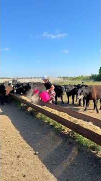 Just feedin steers. Feed in front of them, clean water, same care every day.