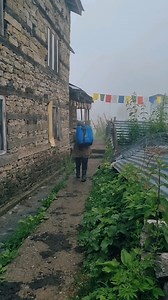 Ready for a winter wonderland? Manali delivers ❄️ Find the best deals on Wego and get packing 🌍 | Wego