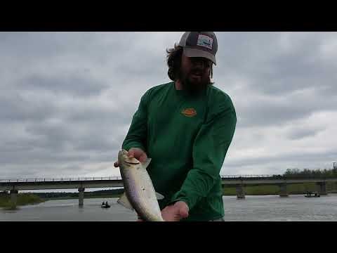 Fishing for shad on the Santee River and Rediversion Canal