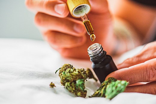 Huile de cannabis (CBD) : quels usages, quels bienfaits ?