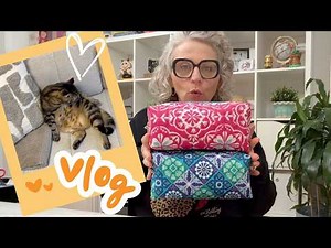 New Boxy's😻Bobby hijacks the couch Vlog 7-25