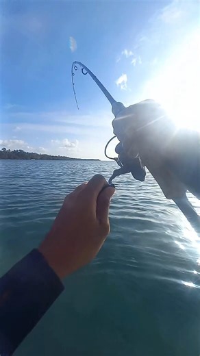 Bogaong Strike! Sudden Big Fish Hit! 🎣⚡ #Shorts