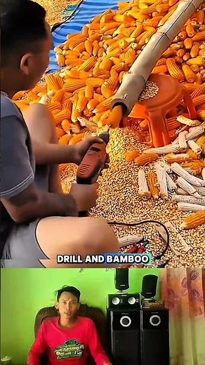 tricks for quickly shelling corn #tutorial #shorts