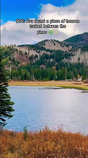 Walking through a real-life screensaver 🌲 #silverlake #bigcottonwood #canyon #utahlake #utah #usa