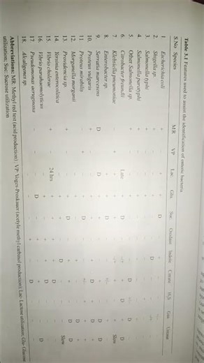 general characteristics and classification of bacteria 🦠 🧫#microbiology