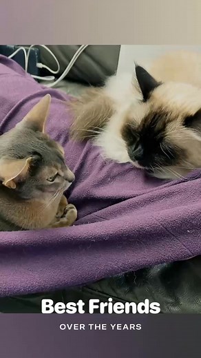 Clever Facebook algorithm | Cliff Bernard | Facebook