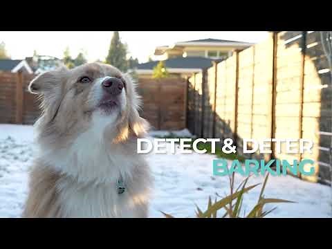 Dog Silencer® MAX - Stop Dog Barking Now - Risk FREE!
