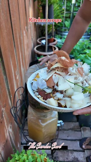 Kitchen scraps for organic liquid fertilizer provide nutrients such as potassium for plants. #fyp #fblifestyle #foryou #gardening #plantas | Leny T Bardwell