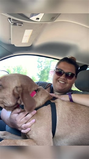 Today’s workout was fueled by frustrations and anger. Cardio helps release all that junk for me. Just a reminder that everyone starts somewhere, too! #mentalhealthmatters #healthylifestylechange #watchthis #imnotchangingmyselfforanyoneeveragain #imdoneapologizing #theresthedoor #cardioismyfav #ranoutmyanger #ivegotgoalstoaccomplish