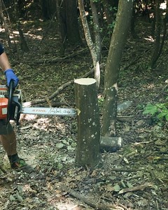 4.3M views · 2.9K reactions | Fastest Way to Make a Hammer | Science, Tech and Universe | Facebook