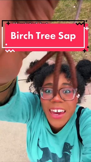 How to Harvest Birch Tree Sap for a Unique Tincture