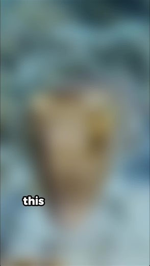 This animal has so many brains #animalfacts #fyp #octopus