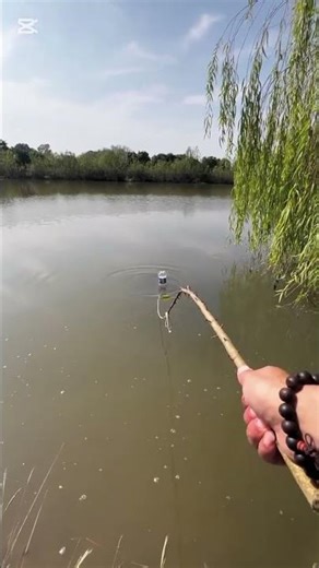 The very beautiful scene, two fishes are the caught by fishhook. #fish #fishkeepinghobby #fishing