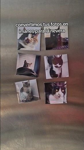 Convertimos tus fotos en imanes para la nevera, #magnetfridge #handmade #fotos #magnet #iman #gatos