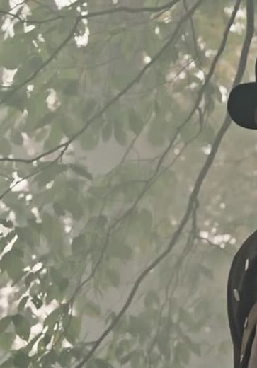 Into the Wild Frontier S03:E07 - William Bartram: America's First Great Naturalist