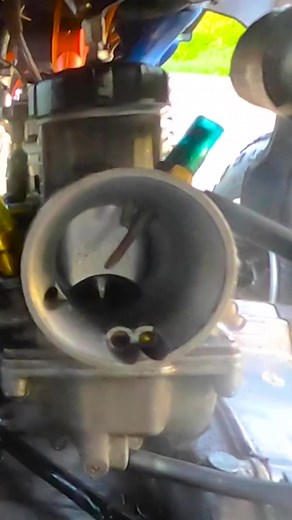 100 HP SLEEPER BANSHEE #banshee #scootinskittle #dragbanshee #dragracing #yamaha #reel #wheelie | Scootin Skittle