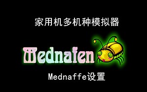 mednaffe前端设置