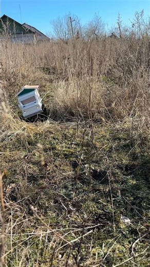 I control RC off-road car 🚛💨 #rccar #automobile #4x4rwd #offroad #remotecontrol