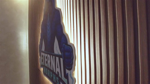 Our live setup what do you think? . . . #eternalmorphs #burmball #ballpython #burmesepython #python #snakesofinstagram #reptilesofinstagram #snake #livingart #ballpythonthailand #볼파이톤 #뱀 #ヘビ #ボールパイソン #爬虫類 #蛇 | Eternal Morphs