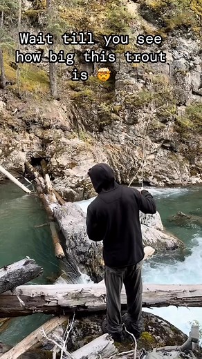 253K views · 1.2K reactions | What a spot to chuck a streamer • @bluecheese.coms When the 9 lber eats but you don’t set the hook and wait for the 15 to eat after the product had been tested. @catfishric captured the moment and helped with my slopy line management. #flyfishing #flyfishingcanada | Fly life media | Facebook