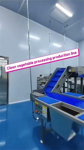 # Clean vegetable processing production line