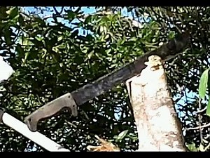 "SOGfari" Stainless Machete Review/demo.