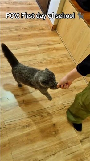 My cute little girl 🐈‍⬛