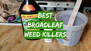 Top 5 Best Broadleaf Weed Killers [January 2026 Review] - Grass Killer