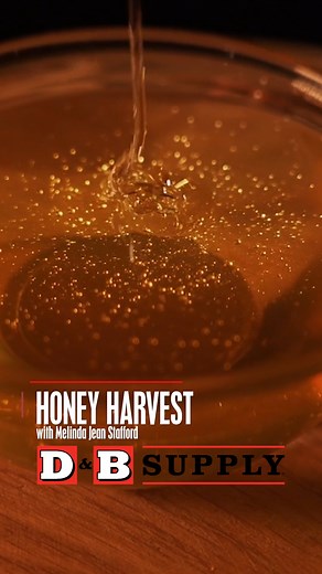 3.1K views · 13 reactions | Honey harvest time! #beekeeping | D & B Supply | Facebook