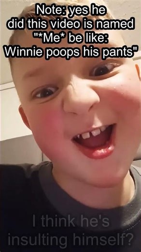 i don't find that "Winnie poop his pants" video that funny....