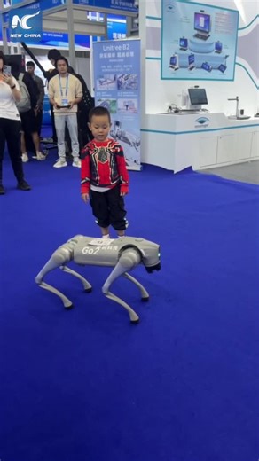 115K views · 614 reactions | A robot dog "scared off" a curious boy at the 25th China Hi-Tech Fair which just concluded in China's Shenzhen. #dog #robot #hightech #China #robotic #AI | China Xinhua Sci-Tech | Facebook