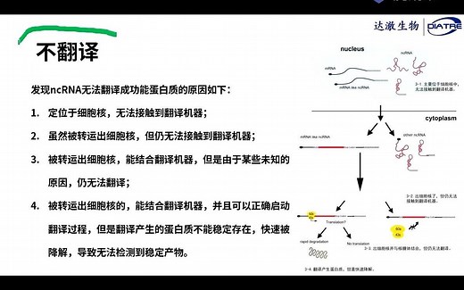 达澈小课堂08-讲解Ribo-seq原理和应用