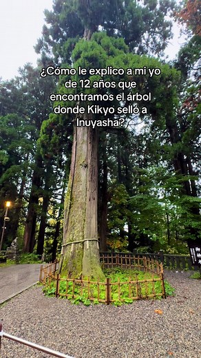 Descubriendo el árbol de Kikyo en Inuyasha