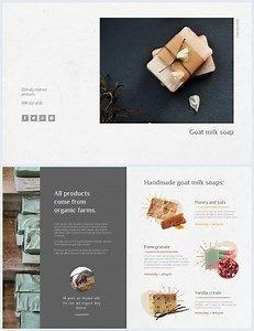 Professional Product Bi-Fold Brochure Template