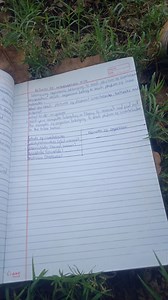 Identify organisms belonging to each phylum of invertebrates.... | Filo